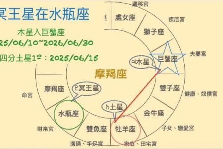 2025星座运势最好排名_2025年星座