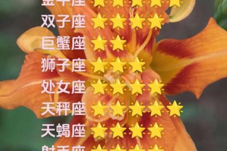 白羊座座今日运势紫薇科技星座网_白羊座今日运势解析紫薇科技星座网独家预测