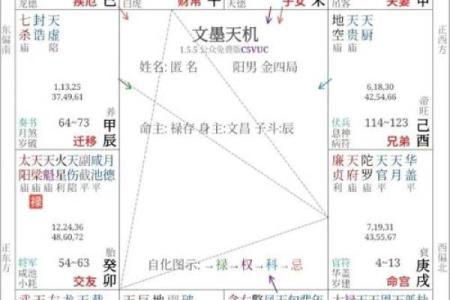 财帛宫紫微星旺 紫微在财帛宫女命