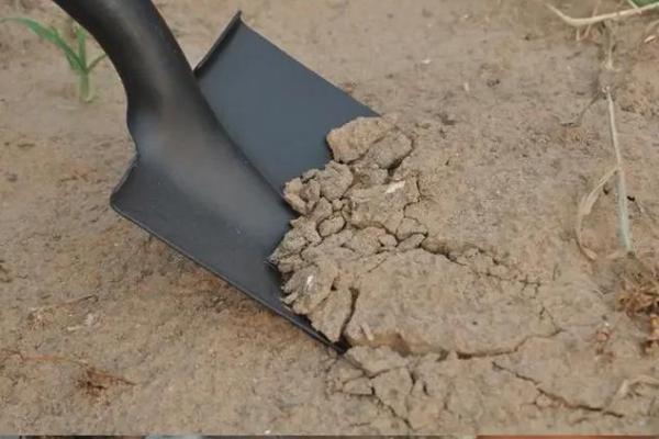 什么时候不能动土(什么时候能动土)