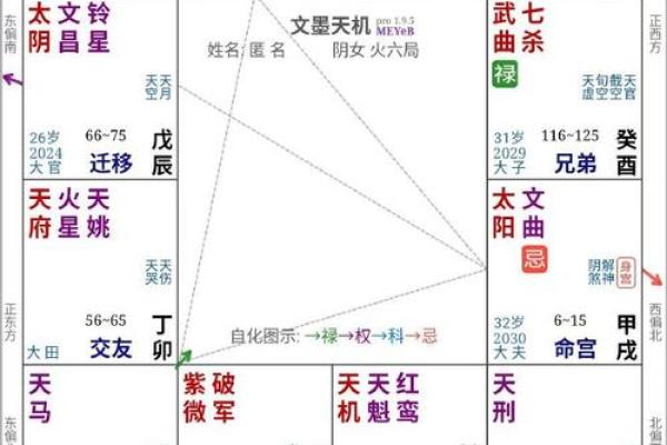 2025年3月30日子时女命紫微斗数全解盘 2025年3月30日子时女命紫微斗数全解盘