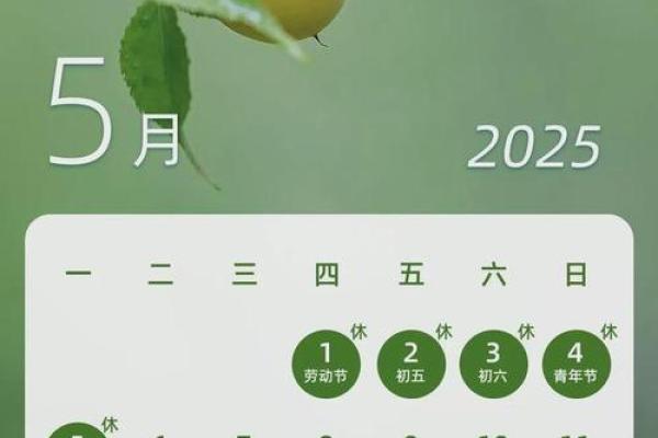 2025年3月11日丑时女命紫微斗数全解盘
