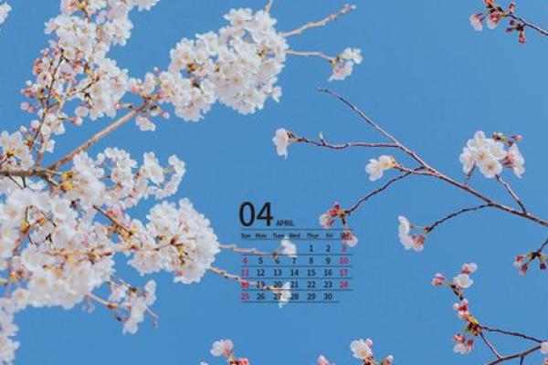 2021年4月25日结婚行不行