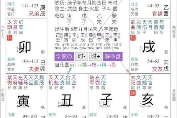 2025年3月21日丑时男命紫微斗数全解盘 2025年3月21日丑时男命紫微斗数全解盘