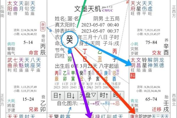 2025年2月19日卯时男命紫微斗数全解盘 2025年2月19日卯时男命紫微斗数全解盘