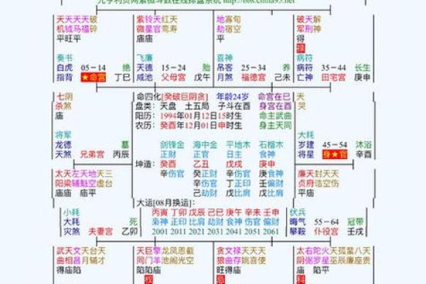 2025年2月26日子时男命紫微斗数全解盘