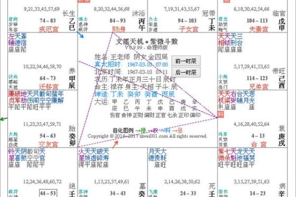 2025年2月19日丑时男命紫微斗数全解盘 2025年2月19日丑时男命紫微斗数全解盘