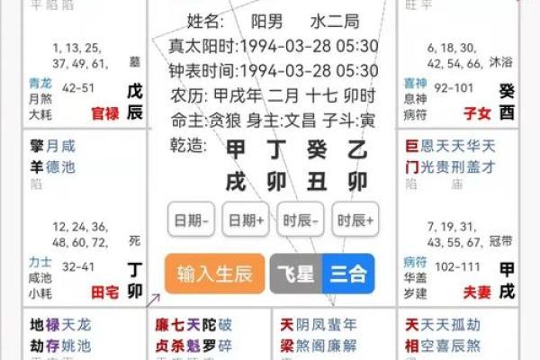 2025年2月20日卯时男命紫微斗数全解盘