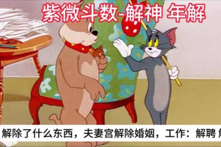 夫妻宫解神含义解析揭秘命理中的婚姻奥秘