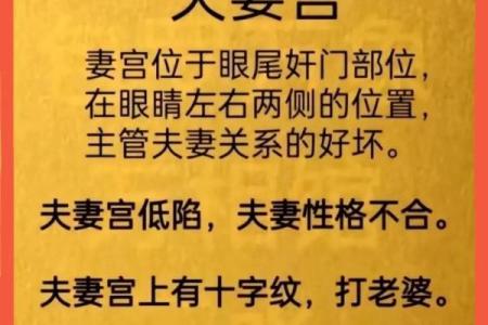 夫妻宫太阳旺_夫妻宫太阳旺擎羊陷