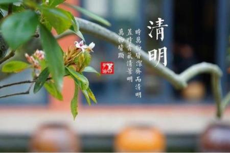 2025年4月4号清明节可以上坟吗(4号清明节能上坟吗)