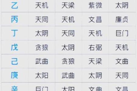 2025年2月23日子时男命紫微斗数全解盘