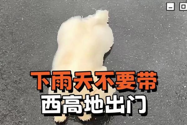 下雨天动土好不好 下雨天动土好不好