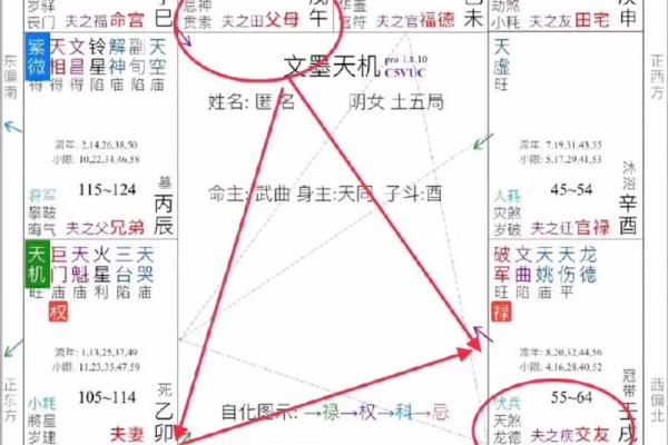 2025年3月11日寅时男命紫微斗数全解盘