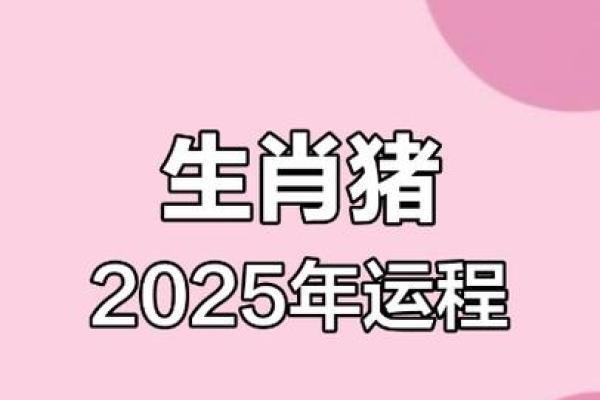 属猪的2025年运势和财运怎么样_2025年属猪人运势与财运全解析 属猪的2025年运势和财运怎么样_2025年属猪人运势与财运全解析