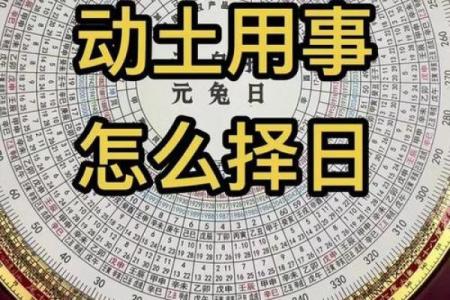 2025年能动土吗(2021年能动土吗)