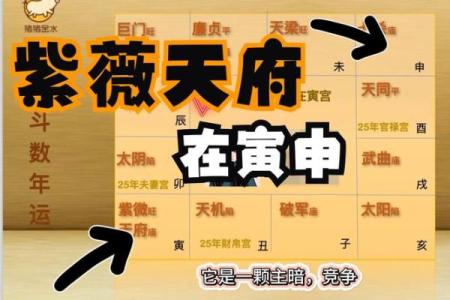 2025年3月20日丑时男命紫微斗数全解盘