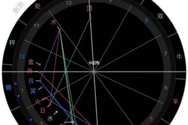 2025年2月18日丑时男命紫微斗数全解盘