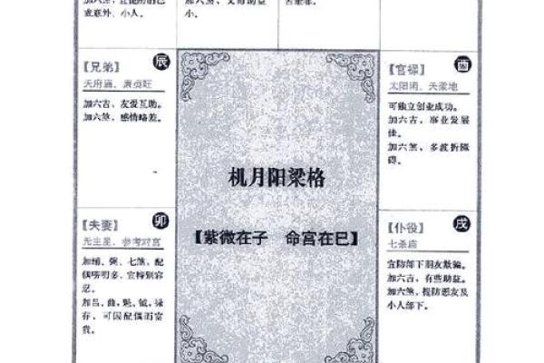 2025年3月11日子时男命紫微斗数全解盘 2025年3月11日子时男命紫微斗数全解盘