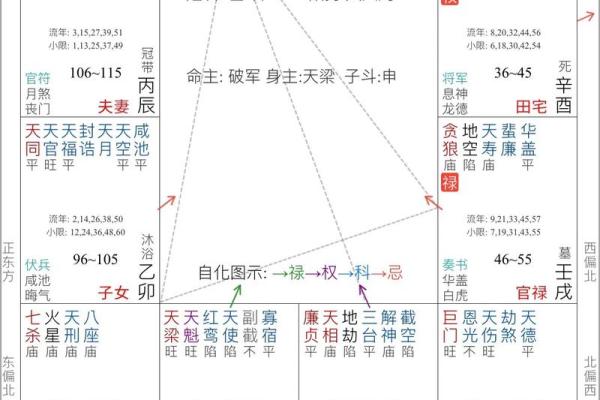 2025年2月19日丑时女命紫微斗数全解盘 2025年2月19日丑时女命紫微斗数全解盘
