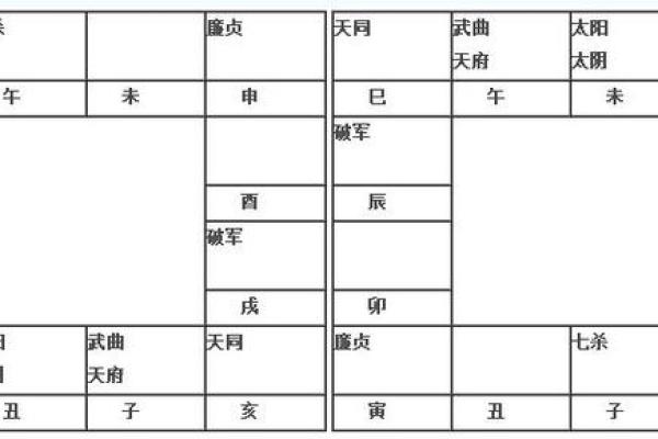 2025年3月25日寅时男命紫微斗数全解盘