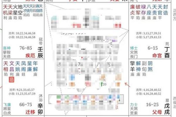 2025年3月6日寅时女命紫微斗数全解盘 2025年3月6日寅时女命紫微斗数全解盘