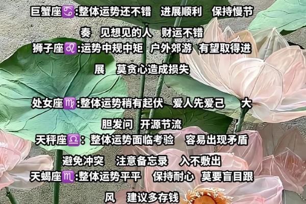 2025年星座财运_12星座2025年的全年运势 2025年星座财运_12星座2025年的全年运势