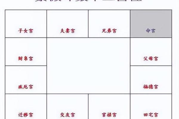 2025年3月9日寅时女命紫微斗数全解盘