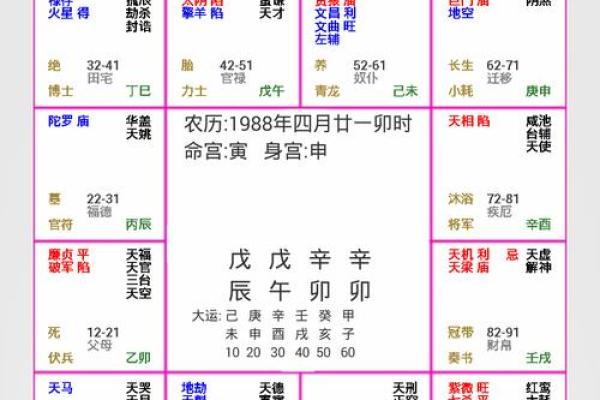 2025年3月11日子时女命紫微斗数全解盘 2025年3月11日子时女命紫微斗数全解盘