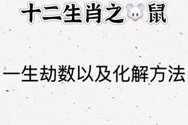 属鼠的人今日运势十二星座网_属相属鼠的人今日运势