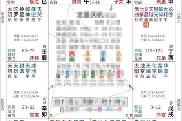 2025年3月5日子时女命紫微斗数全解盘 2025年3月5日子时女命紫微斗数全解盘