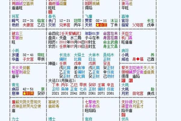 2025年3月17日丑时男命紫微斗数全解盘