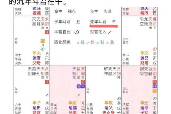 2025年3月17日丑时男命紫微斗数全解盘 2025年3月17日丑时男命紫微斗数全解盘