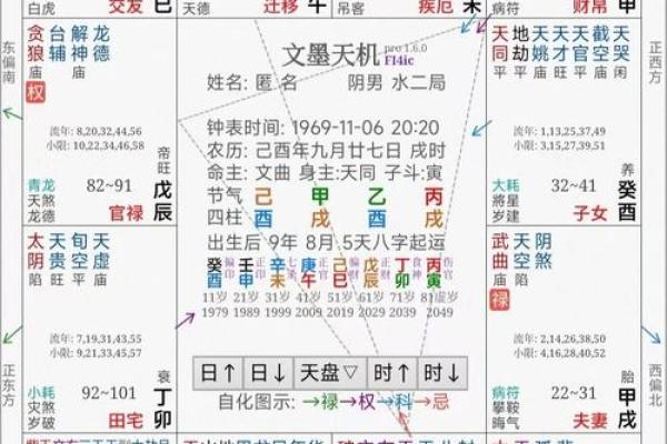 2025年3月16日寅时男命紫微斗数全解盘 2025年3月16日寅时男命紫微斗数全解盘