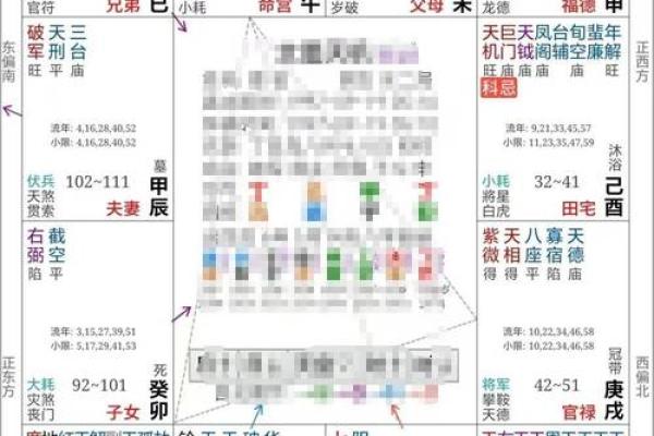 2025年2月21日卯时男命紫微斗数全解盘 2025年2月21日卯时男命紫微斗数全解盘
