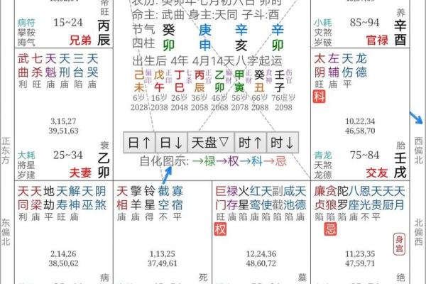 2025年2月21日丑时男命紫微斗数全解盘 2025年2月21日丑时男命紫微斗数全解盘