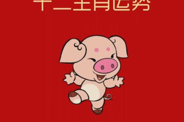 属猪几几年出生_属猪几几年出生多大