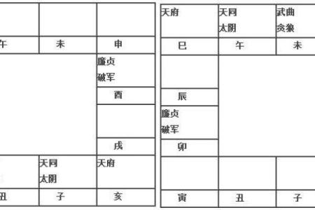 2025年2月24日丑时男命紫微斗数全解盘