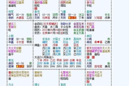 2025年3月16日丑时男命紫微斗数全解盘