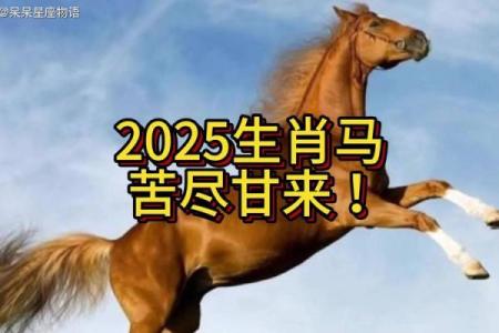属马2025年结婚好不好(2025年属马人的全年运势详解)