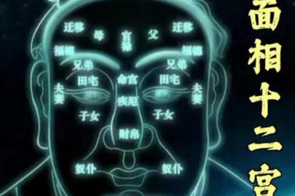 夫妻宫化禄进官禄宫_夫妻宫化禄进官禄宫看配偶长相 夫妻宫化禄进官禄宫_夫妻宫化禄进官禄宫看配偶长相