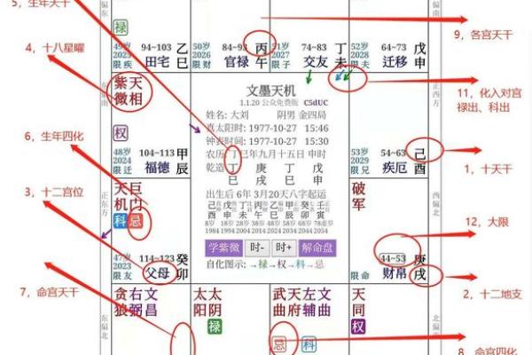 2025年3月20日子时男命紫微斗数全解盘