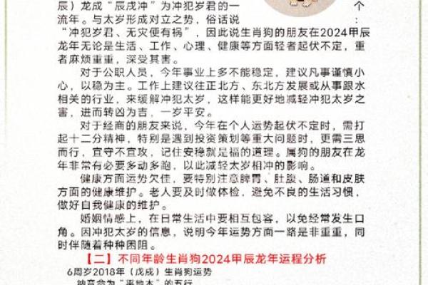 属猪人2024年全年运势及运程_2025年属猪人每月运势 属猪人2024年全年运势及运程_2025年属猪人每月运势