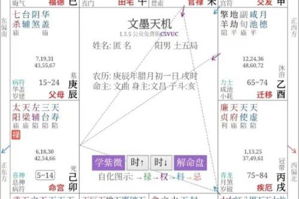 财帛宫太阳旺_财帛宫太阳旺禄 财帛宫太阳旺_财帛宫太阳旺禄