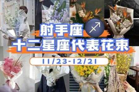 射手座星座运势查询 射手座星座运势星座屋