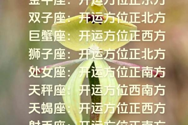 今日星座运势查询精准预测你的每日运程 今日星座运势查询精准预测你的每日运程