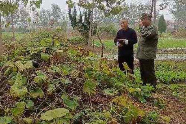 4月4号可以动土吗 4月4号可以动土吗
