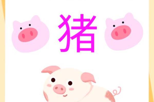 2025年蛇年属猪运势怎么样 属猪在2025蛇年的运气