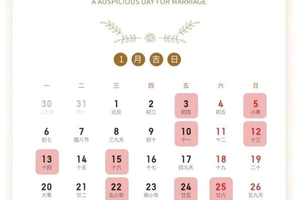 95属猪哪一年结婚最好 95属猪最佳结婚年份解析哪一年最适合步入婚姻