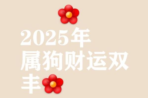 属狗人今天的财运偏财_属狗人今日偏财运解析如何抓住财富机遇 属狗人今天的财运偏财_属狗人今日偏财运解析如何抓住财富机遇
